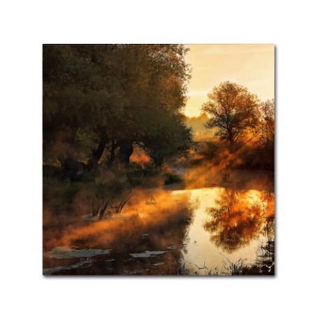 Leicher Oliver 'When Nature Paints With Light' Canvas Art,14x14